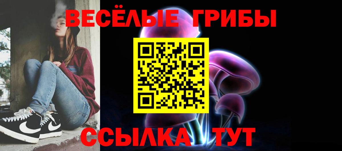 Галлюциногенные грибы мицелий  Галлюциногенные грибы мицелий  Вход с VPN  Вольск 