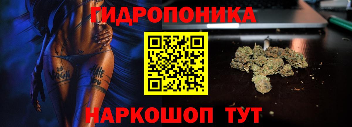 Шишки марихуана семена  Канабис тримм  Бошки марихуана сатива  Вход с VPN  Вольск 